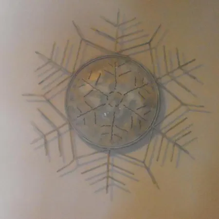 Guest house La Casetta Del Dahu